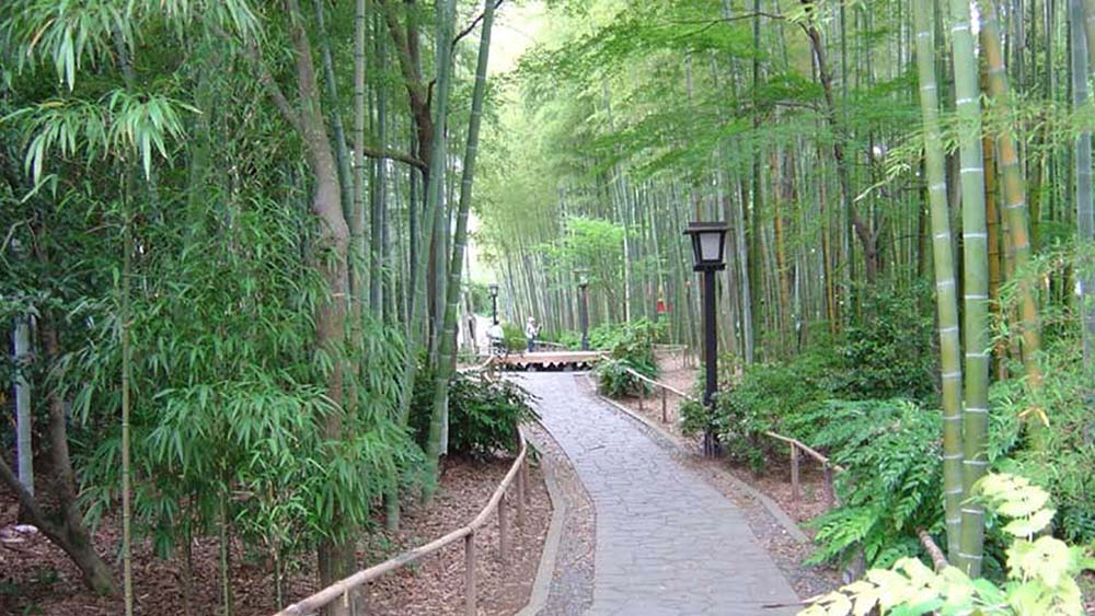 平成9年度 第10回 静岡県都市景観賞 最優秀賞 受賞