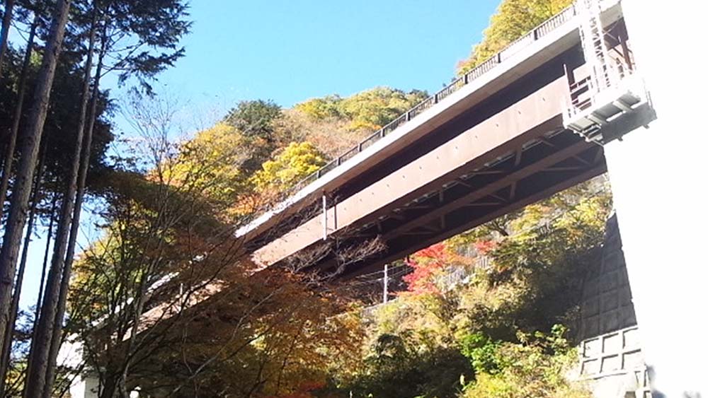 新たに橋を架けてもみじの木を守れ