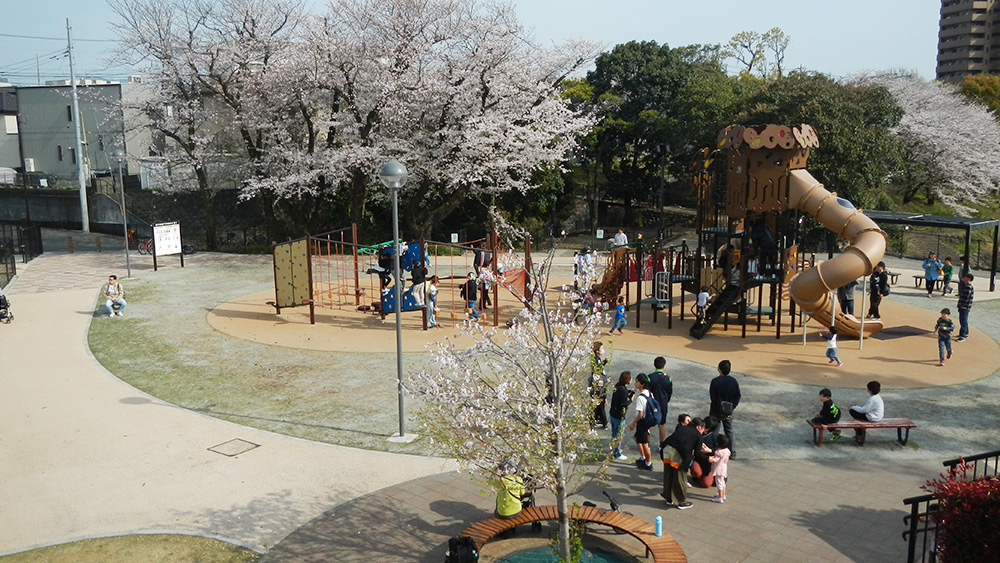 既存樹木の健全性を診断